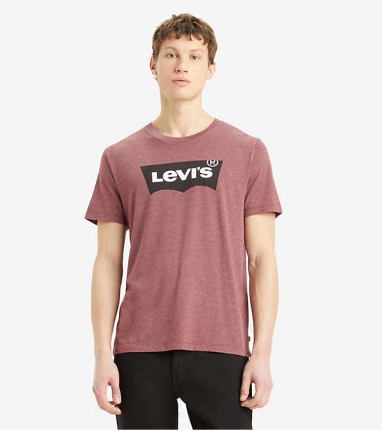 Levi’s Graphic Crewneck Tee SSNL Core - FA24