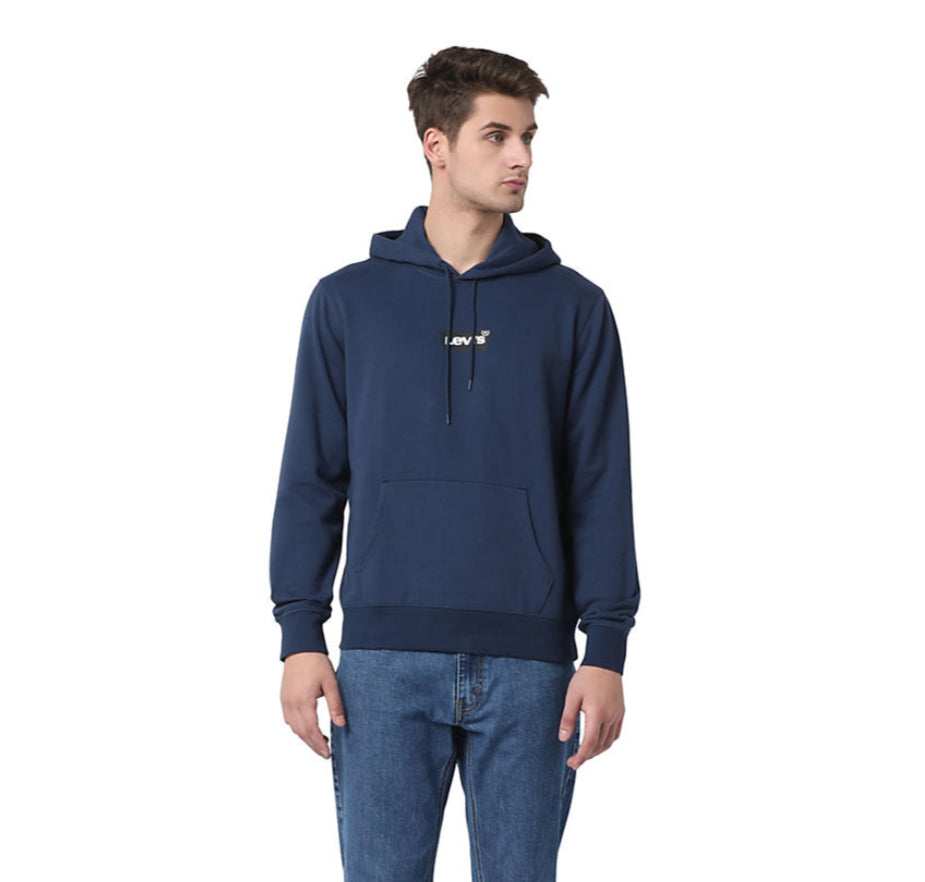 Levi’s Standard Graphic Hoodie - FA24