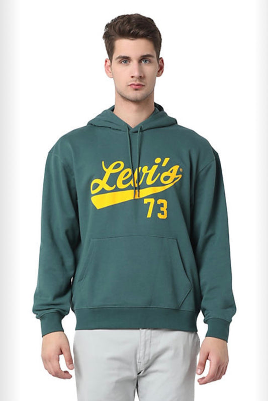 Levi’s Graphic Varsity Script Hoodie - FA24